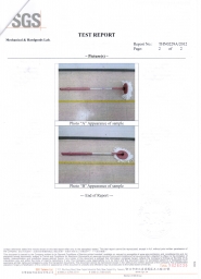 手壓桿測試 SGS認證